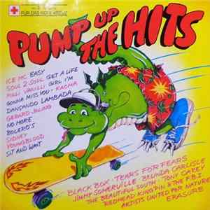 Various - Pump Up The Hits FLAC