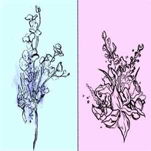 High Bloom - Haloed FLAC