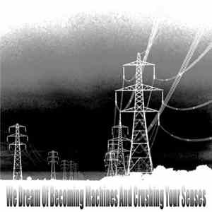 [C. T. D.] / Youth A.D. / Erekta - We Dream Of Becoming Machines And Crushing Your Senses FLAC