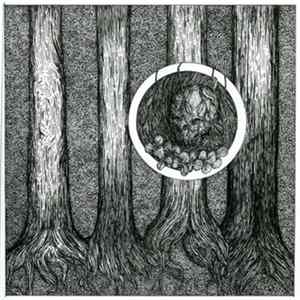 Left Astray - Confines FLAC