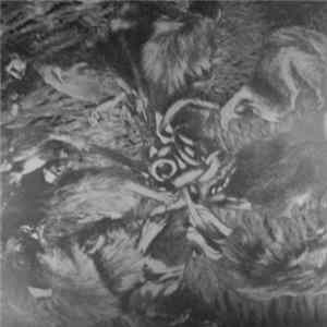 Cranioclast - Rats Can Coil Cats Can Roil FLAC