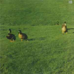 Orbital - Nothing Left FLAC