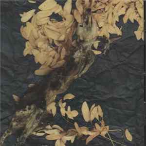 The Central - Discovery Of A Rat FLAC
