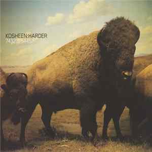 Kosheen - Harder FLAC