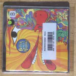 Bitter Sweet Harmony - Shapeshifters FLAC