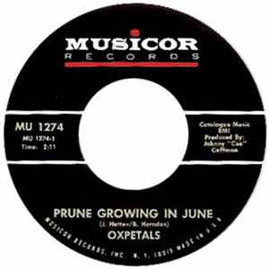 Oxpetals - Prune Growing In June / Walking Down The Sunny Side FLAC