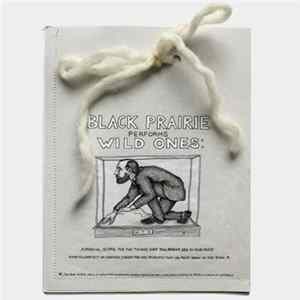 Black Prairie - Performs Wild Ones: Musical Score For The Things That You Might See In Your Head When You Reflect On Certain Characters And Incidents That You Read About In The Book* FLAC