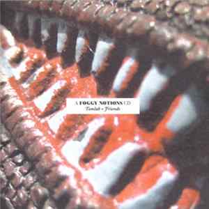 Various - Tomlab & Friends FLAC