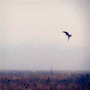 Caminauta - Fragments FLAC