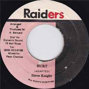 Steve Knight - Hurt FLAC