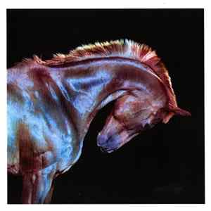 Fenech-Soler - Rituals FLAC