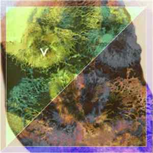 Violens - Acid Reign FLAC