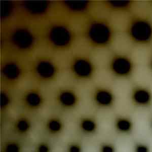 Brandon Nickell - The World Is A Refuge From Perfection FLAC