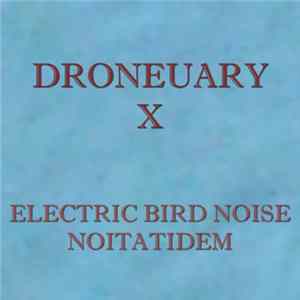 Electric Bird Noise - Droneuary X - Noitatidem FLAC