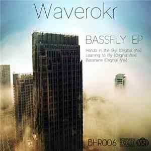 Waverokr - Bassfly EP FLAC