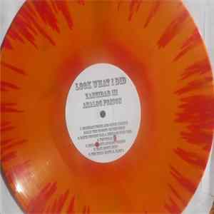 Look What I Did - Zanzibar III: Analog Prison FLAC