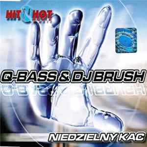 Q-Bass & DJ Brush - Niedzielny Kac FLAC