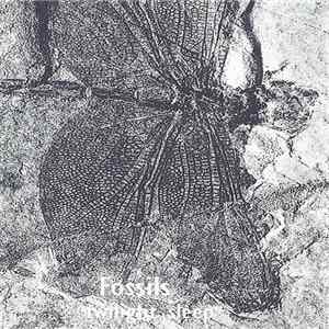 Fossils - Twilight Sleep FLAC