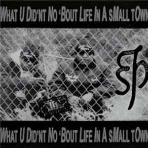 STP - What U Did'nt No 'Bout Life In A Small Town FLAC