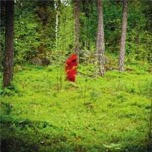 Cosmic Church - Vigilia FLAC