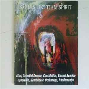 Various - Smells Like Team Spirit I FLAC