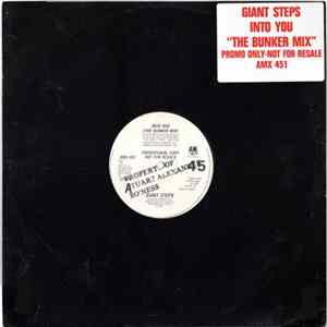 Giant Steps - Into You FLAC