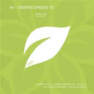 Various - Deeper Shades 13 FLAC