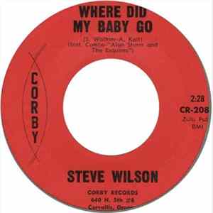 Steve Wilson , Alan Storm And The Esquires - Where Did My Baby Go FLAC