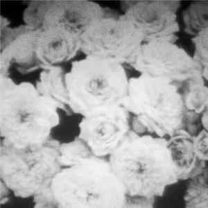 Crystal Castles - Kerosene (Valy Mo ††‡† Rmx) FLAC
