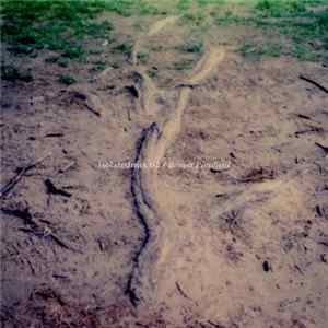 Benoît Pioulard - Isolatedmix 62 FLAC