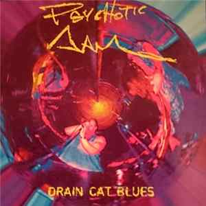 Psychotic Jam - Drain Cat Blues FLAC