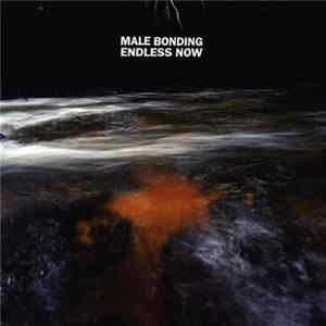 Male Bonding - Endless Now/Rough Trade Acoustic Bonus FLAC