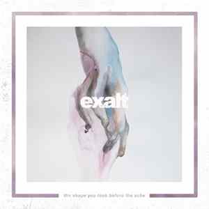 Exalt - The Shape You Took Before The Ache FLAC