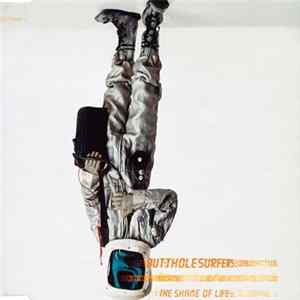 Butthole Surfers - The Shame Of Life FLAC
