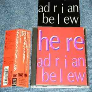 Adrian Belew - Here FLAC