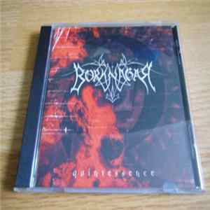 Borknagar - Quintessence FLAC