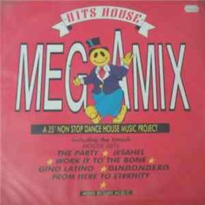 Various - Hits House Megamix FLAC