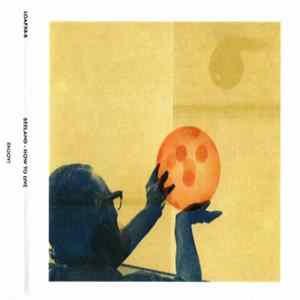 Seeland - Black Dot, White Spider FLAC