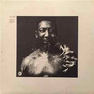 Muddy Waters - After The Rain FLAC