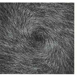 Metamatics - From Death To Passwords Where You're A Paper Aeroplane FLAC