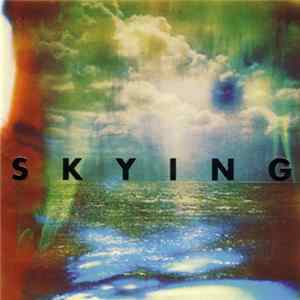 The Horrors - Skying FLAC