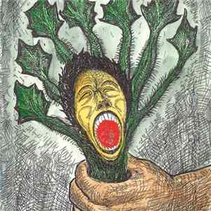 The Stinging Nettles - The Stinging Nettles FLAC