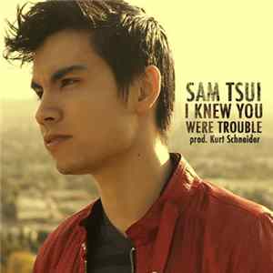 Sam Tsui - I Knew You Were Trouble FLAC