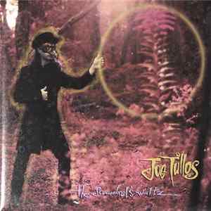 Joe Tullos - The Scoundrel's Waltz FLAC