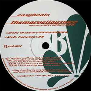 TheMarvelousMee - MicrodiscosOne FLAC