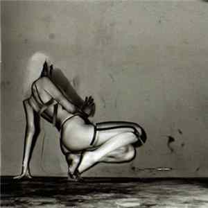 UNKLE - Where Did The Night Fall FLAC