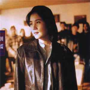 田震 - 野花 FLAC