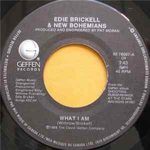 Edie Brickell & New Bohemians - What I Am FLAC
