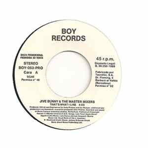 Jive Bunny And The Mastermixers - That's What I Like FLAC