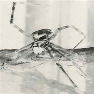 Shad Shadows - Fix EP FLAC